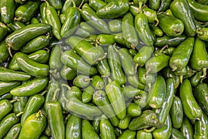 Green pablano chilis in a pile ready for sale