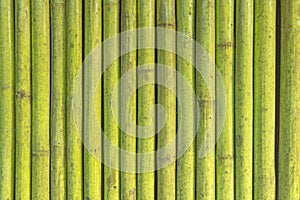 green paint bamboo fence, texture pattern abstract for background