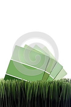 Green paint chip samples on green grass