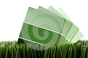 Green paint chip samples on green grass