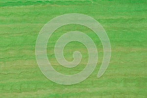 Green  painted on paper background texture