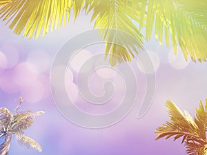 green palm and coconut leaves over blue sky background