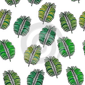 green palm leaf Seamless pattern coconut tree