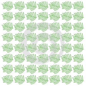 Green Palm Leaves Design Pattern Texture Wallart