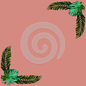 Green palm leaves pattern for nature concept,tropical leaf on pink background