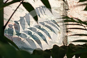 Green palm leaves with shadows on a white brick wall background. Creative minimalism trendy backdrop advertising design