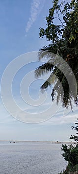 Green palm tree fronds against a vast blue sky