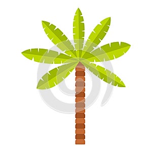 Green palm tree icon isolated