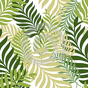 Green palm tree leaves. Vector seamless pattern. Nature organic