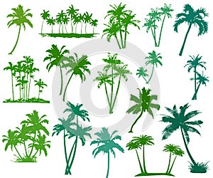 Green palm trees set isolated on white background. Palm silhouettes.