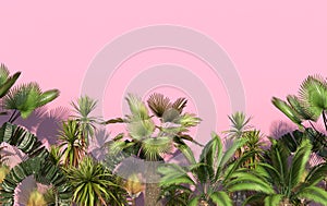 Green palm trees and tropical exotic plants on a pink background with copy space. Conceptual creative illustration. 3D rendering