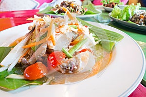 Green papaya salad with crab, somtum thai food