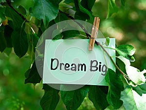 A green paper note with words Dream Big hanging on a tree