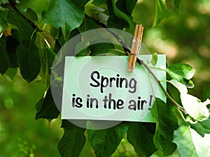 A green paper note with words Spring is in the air! hanging on a tree branch