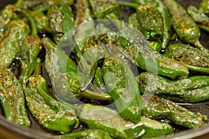 Green paprika pimento patron photo