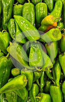 Green paprikas background