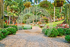 Green paradise in Mae Fah Luang garden, Doi Tung, Thailand