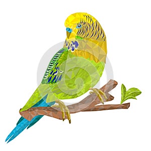 Green  parakeet Budgerigar, , pet parakeet  or budgie or shell parakeet polygons on a white background vintage vector