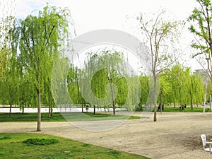 Green park