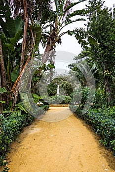 Green park alley, Cadiz, Spain. Genovese garden