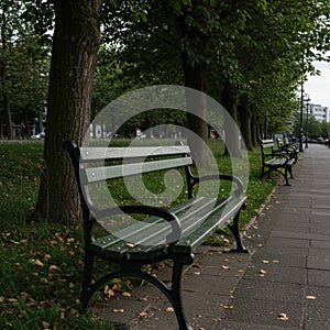 Green Park Bench Under Tree Shade
