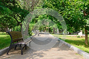 Green park with benches and trees on a sunny summer day