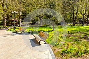 Green park in Borjomi, Georgia