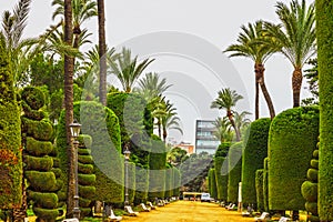 Green park, Cadiz, Spain. Genovese garden