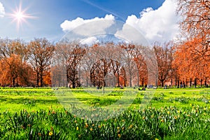 Green park in London during warm spring day. People sitting on t