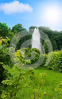 Green park of the nature with a fountain