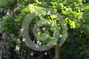 Green park outdoor background with soap bubbles in the air, fun activities for family outdoor. Summer time.