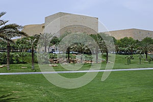 Green Park with Palms in Riyadh, Saudi Arabia