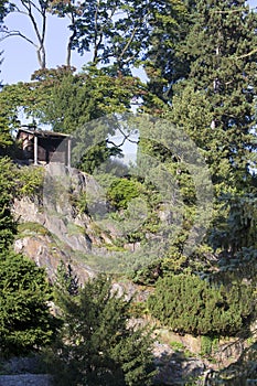 green park and rock in Pruhonice near Prague, Czech Republic