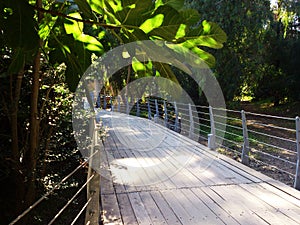 Green Park, state linear Park In Nicosia of Cyprus in Europe