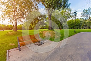 Green Park with trees and lawn near the entertainment center Island of dreams