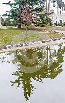 Green park with a view of the Beautiful baroque Festetics Castle in Keszthely Hungary, reflection in the lake pond