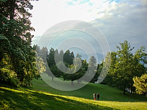 Green park for walking photo