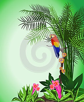 Green Parrot Background