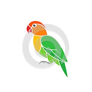 Green parrot. Lovebird. Exotic bird on white background