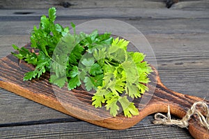 Green parsley and celery on vintage wooden shabby cutting board. Healthy vegetarian food. Organic food ingredients