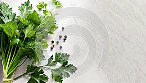 Green parsley, dill and pepper corner boarder over white background. Fresh herb twigs, cooking food concept