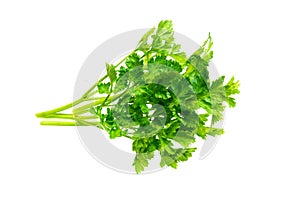 Green parsley leaves on a white isolated background