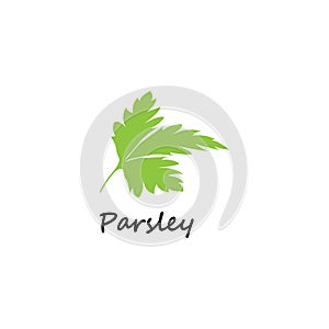 Green parsley twig, shoot, sprig. Icon Isolated on white. Logo for eco company, agriculture, nature firm, ecology, healthy organic