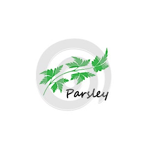 Green parsley twig, shoot, sprig. Icon Isolated on white. Logo for eco company, agriculture, nature firm, ecology, healthy organic