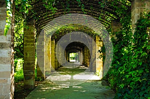 Green passage in Athens, Greece