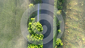 Green passage: top-down aerial of canal amidst tree rows and fields