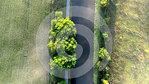 Green Passage: Top-Down Aerial of Canal Amidst Tree Rows and Fields
