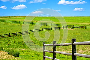 Green pasture with blue sky