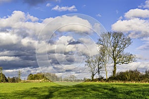 Green pasture in the countryside