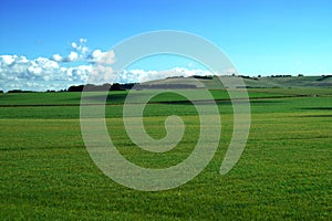 Green Pasture in England